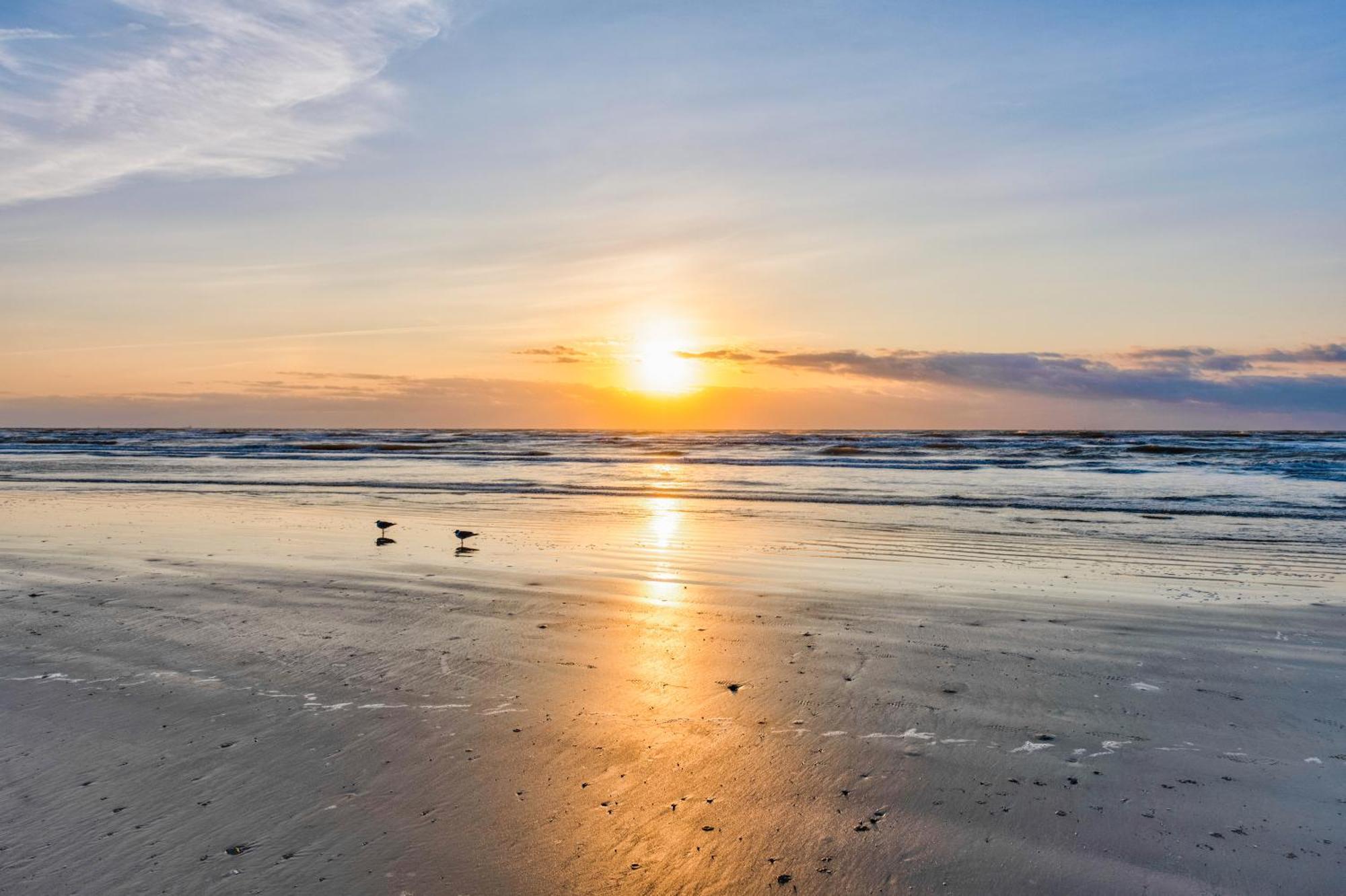 Serene Seashell 508Bh Port Aransas Ngoại thất bức ảnh